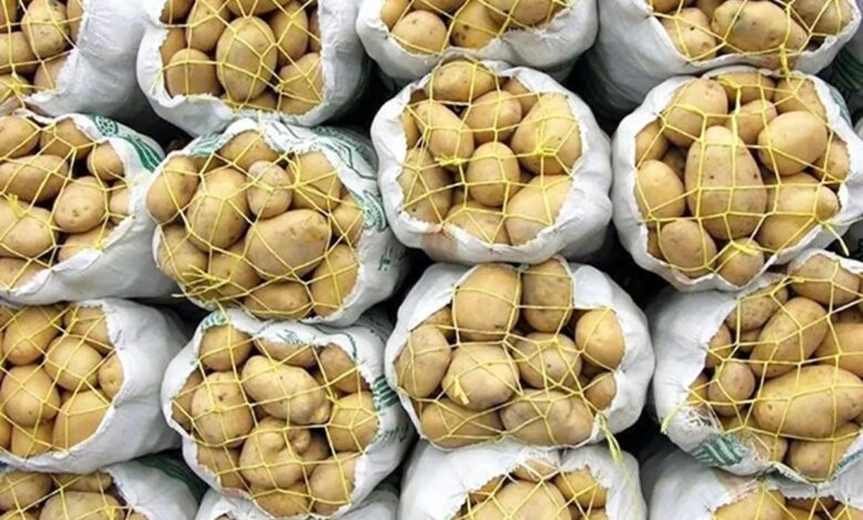  کاهش قیمت سیب‌زمینی و پیاز در بازار / وزارت کشاورزی: قیمت سیب‌زمینی و پیاز در مزارع بین ۷ تا ۱۲ هزار تومان تثبیت شده