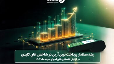 رشد معنادار پرداخت نوین آرین در شاخص های کلیدی