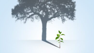 بازنشستگی تکمیلی؛ آغاز آینده‌ای آسان و بدون دغدغه
