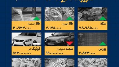 اینفوگرافیک / امروز ۳۱ تیر قیمت ها چقدر است؟