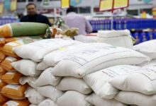 اتحادیه بنکداران مواد غذایی تهران: افت بین ۱۵ تا ۲۰ درصدی قیمت برنج شمال/ نرخ برنج هاشمی درجه یک، به حدود ۲۸۰ تا ۲۹۰ هزارتومان رسیده/ قیمت برنج وارداتی حدود ۶۵ تا ۷۰ هزار تومان است و ۱۵ درصد کاهش نرخ داشته