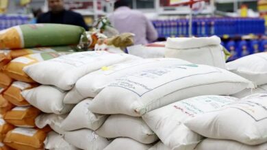 اتحادیه بنکداران مواد غذایی تهران: افت بین ۱۵ تا ۲۰ درصدی قیمت برنج شمال/ نرخ برنج هاشمی درجه یک، به حدود ۲۸۰ تا ۲۹۰ هزارتومان رسیده/ قیمت برنج وارداتی حدود ۶۵ تا ۷۰ هزار تومان است و ۱۵ درصد کاهش نرخ داشته