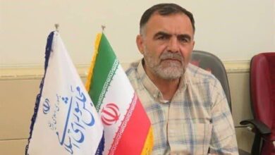 پشت پرده مقاومت اقتصادی در جنگ تحمیلی؛ از غافلگیری تا خودکفایی - هشت صبح