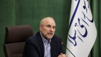 قالیباف: در بررسی لایحه سازمان ملی مهاجرت، از نگاه صنفی پرهیز شود - هشت صبح