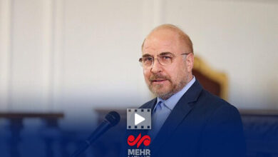 قالیباف: رسانه ملی در تبلیغ سکوهای داخلی کوتاهی کرده است