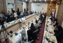 تأکید نمایندگان تهران بر نقش کلیدی NGO ها در روایت‌سازی و حمایت ملی - هشت صبح