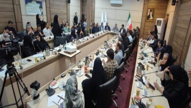 تأکید نمایندگان تهران بر نقش کلیدی NGO ها در روایت‌سازی و حمایت ملی - هشت صبح