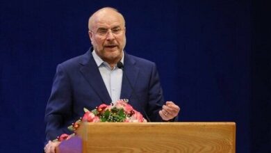 قالیباف: ایرانیان خارج از کشور باید به پنجره خدمات واحد متصل شوند - هشت صبح