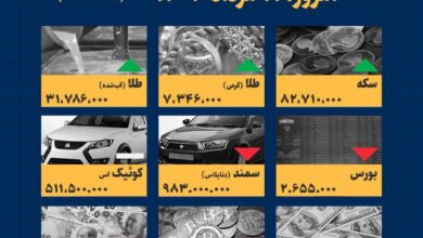 اینفوگرافیک / امروز ۱۱ مرداد قیمت ها چقدر است؟