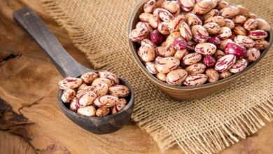 اتحادیه بنکداران مواد غذایی: قیمت لوبیا چیتی به ۳۹۰ تا ۴۰۰ هزار تومان رسید/ کاهش ۲۲ درصدی نرخ حبوبات