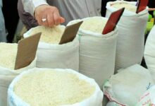 قیمت جدید برنج اعلام شد / هاشمی، دم‌سیاه و طارم اصل ۲۵۰ هزار تومان، شیرودی ۲۱۴ هزار تومان، دودی ۲۲۸ هزار تومان، برنج پاکستانی ۶۶ هزار و ۳۰۰ تومان و برنج هندی ۵۹ هزار و ۸۰۰ تومان
