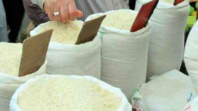 قیمت جدید برنج اعلام شد / هاشمی، دم‌سیاه و طارم اصل ۲۵۰ هزار تومان، شیرودی ۲۱۴ هزار تومان، دودی ۲۲۸ هزار تومان، برنج پاکستانی ۶۶ هزار و ۳۰۰ تومان و برنج هندی ۵۹ هزار و ۸۰۰ تومان