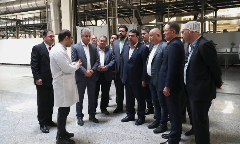 چتر حمایت بانک ملی ایران گسترده تر شد؛ امضا تفاهم‌نامه همکاری بین بانک و شرکت کاله