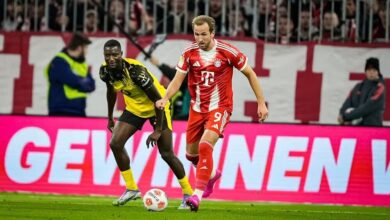 کین در کمین شکار رکوردی تاریخی