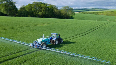 کشت فراسرزمینی امارات؛ همپوشانی جاهطلبیهای تجاری و استراتژیک غذا - هشت صبح