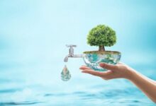 عضو اتاق بازرگانی: اگر الگوی مصرف اصلاح میشد امروز کشوری ثروت بودیم - هشت صبح