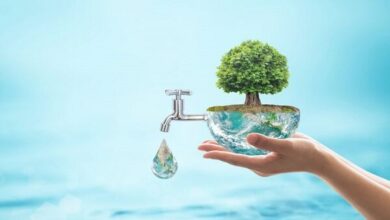 عضو اتاق بازرگانی: اگر الگوی مصرف اصلاح می‌شد امروز کشوری ثروت بودیم - هشت صبح