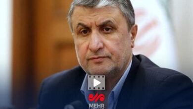 اسلامی: پیشتازی ایران در هسته‌ای، کوانتوم و پلاسما خط قرمز ماست