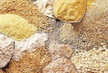 نهاده‌های دامی به اندازه مورد نیاز در سامانه بازارگاه توزیع نمی‌شود - هشت صبح