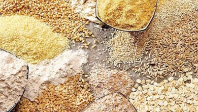 نهاده‌های دامی به اندازه مورد نیاز در سامانه بازارگاه توزیع نمی‌شود - هشت صبح