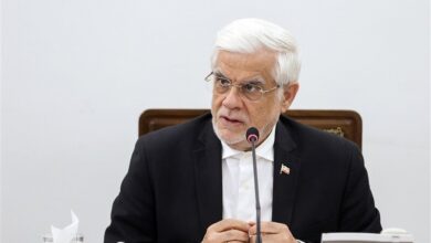 عارف: باید کارهای تحولی برای نظام انجام شود ولو به قیمت نبود من - هشت صبح