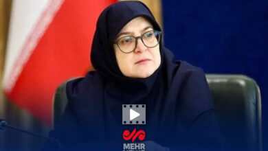 سخنگوی دولت: استیضاح وزارتخانه‌ها را ماه‌ها معطل می‌کند