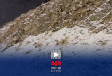 گزارش خبرنگار مهر از بارش برف در جاده چالوس - هشت صبح