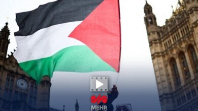 قالیباف: هیچ قدرت و کشور خارجی نمیتواند بجای مردم فلسطین تصمیم بگیرد