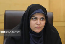 خدادادی: کاهش بودجه فرهنگ، قدرت نرم و هویت ملی را تهدید میکند - هشت صبح