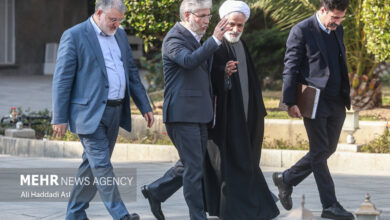 حاشیه جلسه هیئت دولت