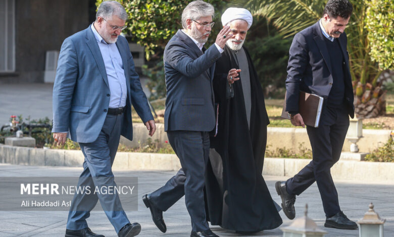 حاشیه جلسه هیئت دولت