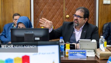 توکلی: مصرف گاز چهار روز اخیر ۱۰۰ میلیون مترمکعب افزایش یافت - هشت صبح