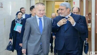 تأکید تهران و پکن بر اجرای توافق‌ها و گسترش شراکت استراتژیک - هشت صبح