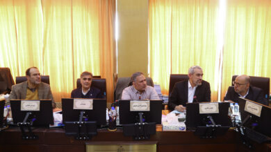 حضور مدنی زاده و فرزین در جلسه امروز کمیسیون اقتصادی مجلس - هشت صبح