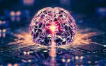 کامپیوترهای ساخته‌شده از مغز انسان در راهند/ هوش ارگانوئیدی چیست؟