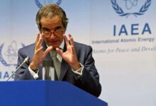 گروسی: «حس قطعیت» و «جدیت» در مذاکرات ایران و آمریکا وجود دارد/ در مذاکرات ژنو درباره چیز‌های ملموس گفت‌و‌گو شد، نه فقط مباحث کلی/ در دیدار با عراقچی متوجه شدم که شفافیتی درباره آنچه که برای توافق نیاز است، وجود دارد