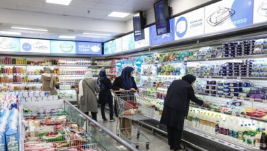 وزیر رفاه: قرار است شرکت‌های لبنی ۸ درصد پایین‌تر از نرخ مصوب کالاهای خود را در کالابرگ عرضه کنند