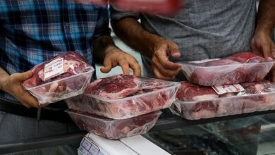 قیمت گوشت امروز شنبه ۲۶ اردیبهشت ۱۴۰۵