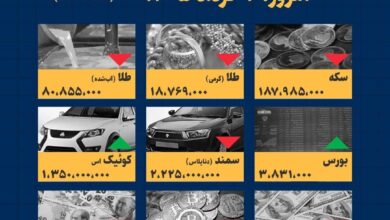 اینفوگرافیک / امروز ۲ خرداد قیمت‌ها چقدر است؟