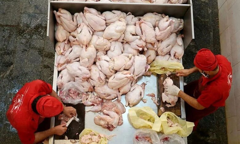 اتحادیه مرغداران: قیمت مرغ نباید بیشتر از کیلویی ۳۸۰ هزار تومان باشد، زیرا مرغدار، مرغ زنده را کیلویی ۲۸۰ هزار تومان می‌فروشد