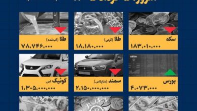اینفوگرافیک / امروز ۵ خرداد قیمتها چقدر است؟