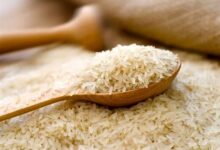 بلومبرگ: قیمت برنج در آسیا در ماه مه با سریع‌ترین سرعت ماهانه خود در نزدیک به دو دهه گذشته افزایش یافت / تأثیر جنگ در خاورمیانه ممکن است محدود به افزایش قیمت برنج نباشد، بلکه ممکن است حتی قیمت جهانی مواد غذایی را برای سال‌ها تحت تأثیر قرار دهد / زنجیره‌های تأمین کود ممکن است بین یک تا چهار سال طول بکشد تا بهبود یابند