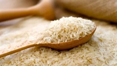 بلومبرگ: قیمت برنج در آسیا در ماه مه با سریع‌ترین سرعت ماهانه خود در نزدیک به دو دهه گذشته افزایش یافت / تأثیر جنگ در خاورمیانه ممکن است محدود به افزایش قیمت برنج نباشد، بلکه ممکن است حتی قیمت جهانی مواد غذایی را برای سال‌ها تحت تأثیر قرار دهد / زنجیره‌های تأمین کود ممکن است بین یک تا چهار سال طول بکشد تا بهبود یابند