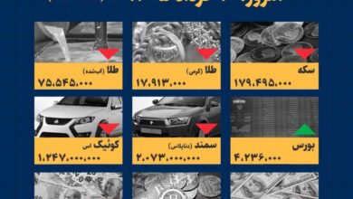 اینفوگرافیک / امروز ۱۰ خرداد قیمت ها چقدر است؟