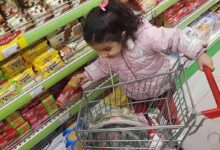 هشت صبح | Mehr News Agency