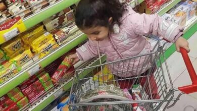 هشت صبح | Mehr News Agency