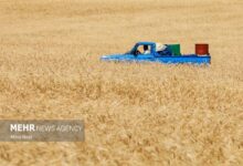 هشت صبح | Mehr News Agency