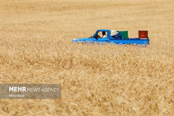 هشت صبح | Mehr News Agency