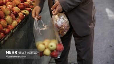 هشت صبح | Mehr News Agency