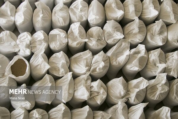 هشت صبح | Mehr News Agency